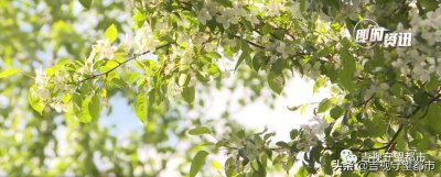 ​考生注意！长春市今年中考时间确定