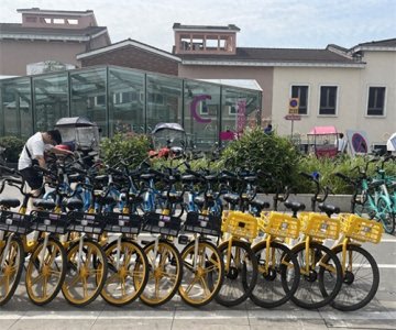 ​成都双流区：打造共享单车管理示范街