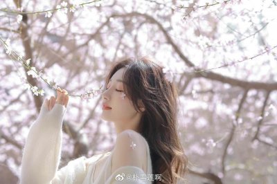 ​以善胜恶的经文在哪里