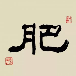 ​每日一字：肥