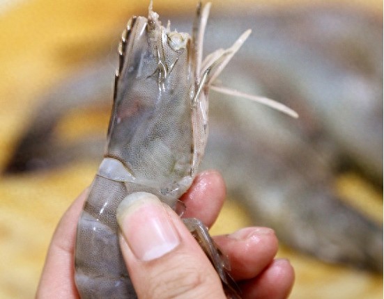 滋味美到心里，教您烹制酸甜可口的红焖大虾