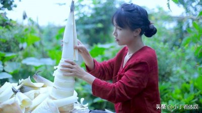 ​从“全网爆火”到“一无所有”，李子柒到底做错了什么？