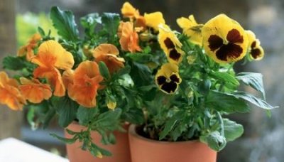 ​天津室内设计师排行榜 我家装修,我想找位天津市室内设计师