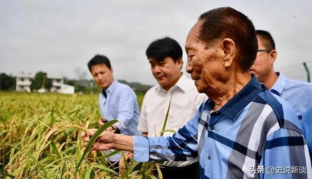 水稻之父袁隆平有了新的身份 水稻之子袁定阳(5)