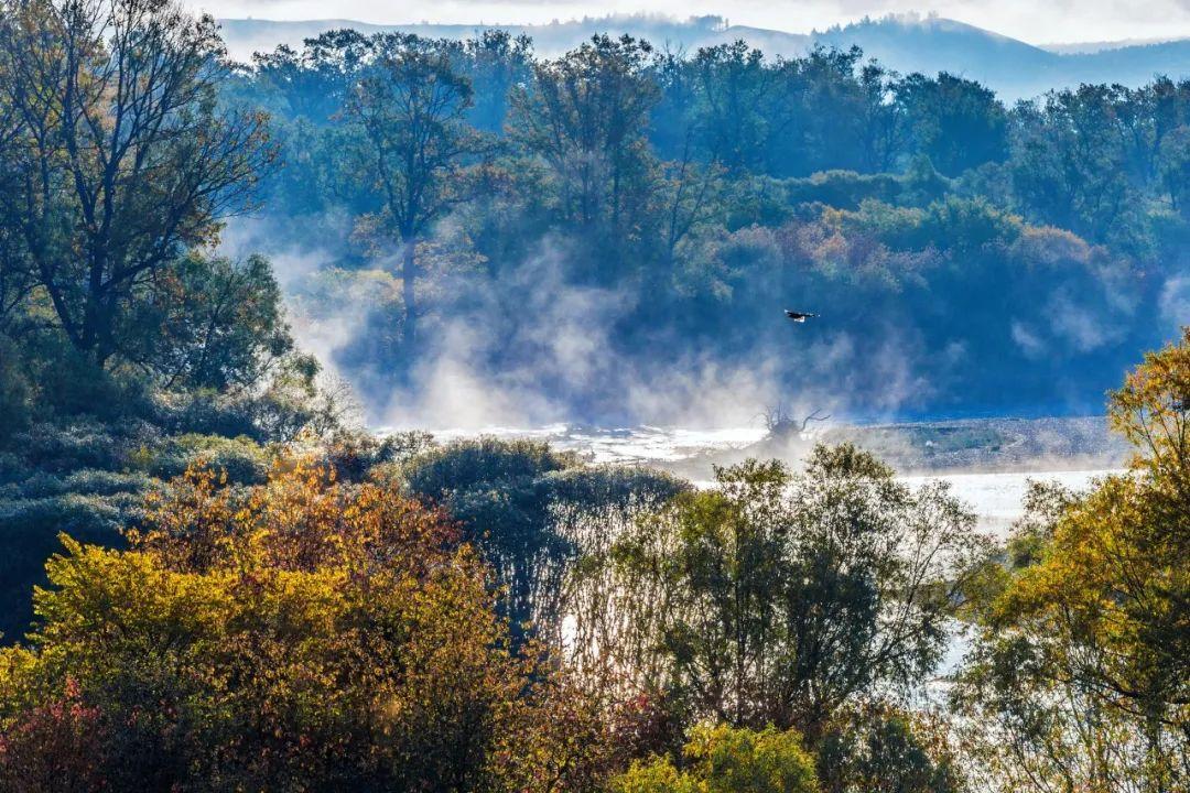 刘禹锡的十大经典名句（刘禹锡的名言名句和意思）
