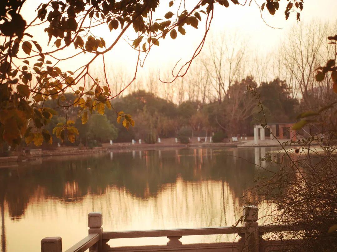 刘禹锡的十大经典名句（刘禹锡的名言名句和意思）