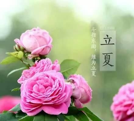 立夏的来历，关于立夏的来历30字左右？图5