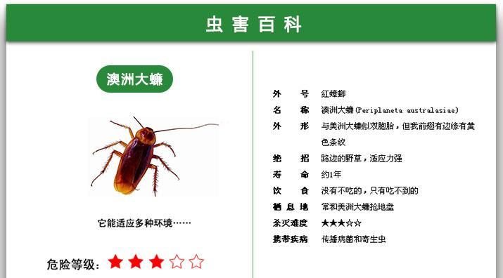 蟑螂提取液的药用价值是什么