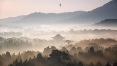 ​七下语文第九课阿长与山海经笔记（七年级语文下册第9课）