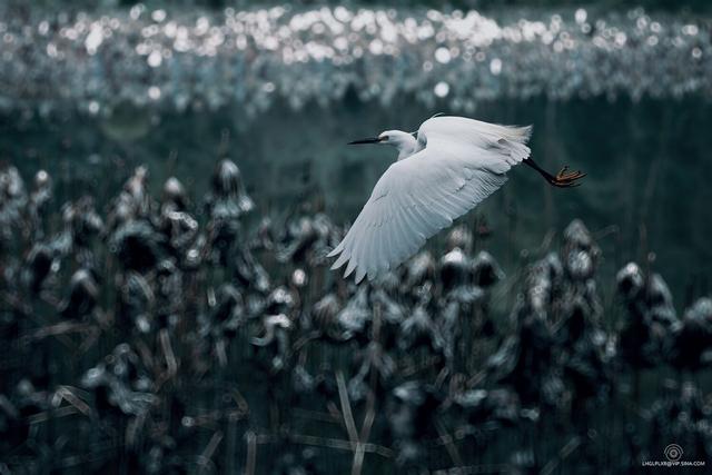 七下语文第九课阿长与山海经笔记（七年级语文下册第9课）(2)