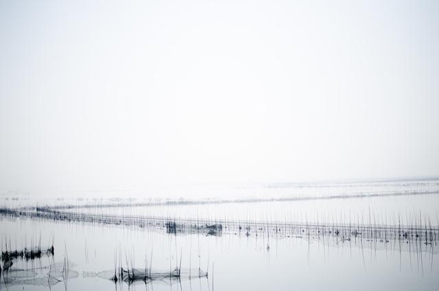 七下语文第九课阿长与山海经笔记（七年级语文下册第9课）(5)