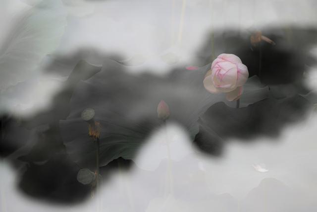 七下语文第九课阿长与山海经笔记（七年级语文下册第9课）(3)