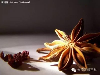 ​香料百科丨八角
