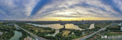 ​东莞特产莞香茶，珍贵又小众的“沉香茶”