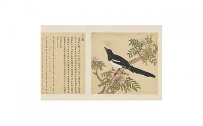 ​社交对孩子的影响