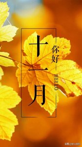 ​十一月是一个丰富多彩的季节，既有购物狂欢，又有节日庆典，还有