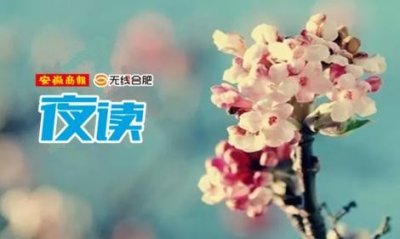 ​无线合肥夜读丨庐州太太这道菜别吃了！女司机27分钟熄火23次