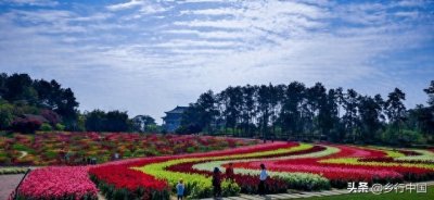 ​希望在新津，新津有希望——成都市新津区如何从小城向创新极增长