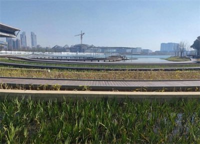 ​“阳泉高铁之殇：阳大铁路能否力挽狂澜？”