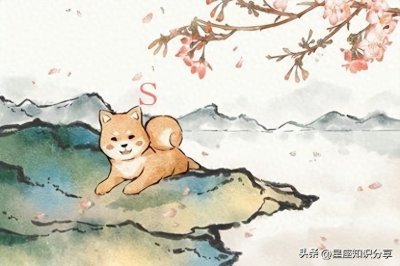 ​1988年属龙婚姻命运：渴望稳定的温暖港湾